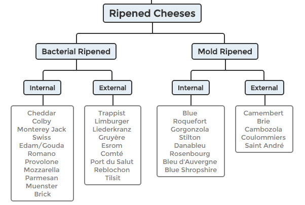 Cheese Types Chart