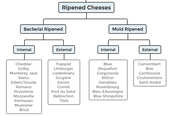 Cheese Chart